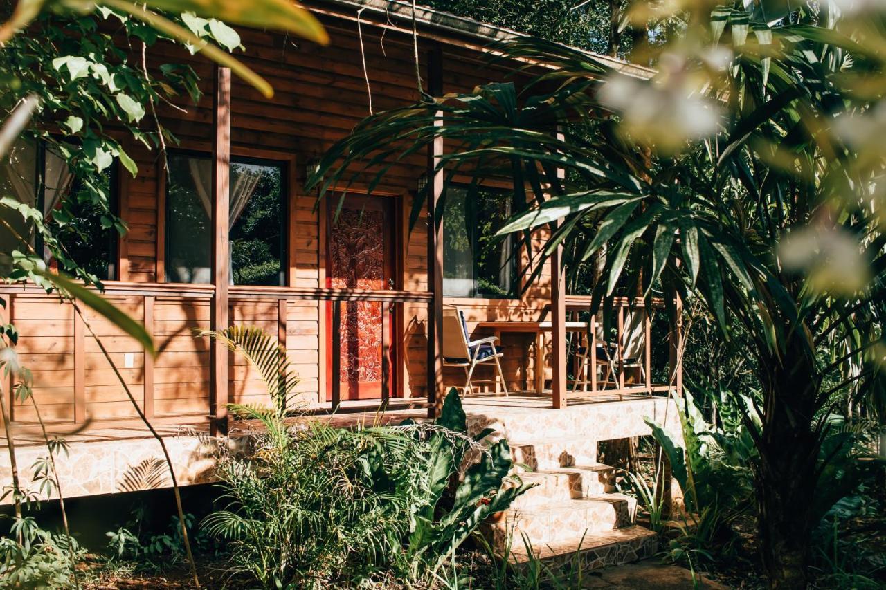 Mariposa Jungle Lodge San Ignacio Exterior photo
