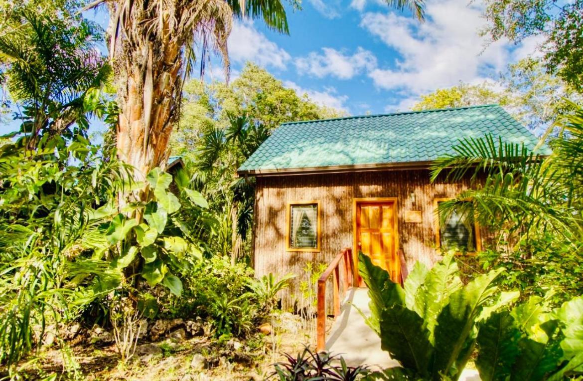 Mariposa Jungle Lodge San Ignacio Exterior photo