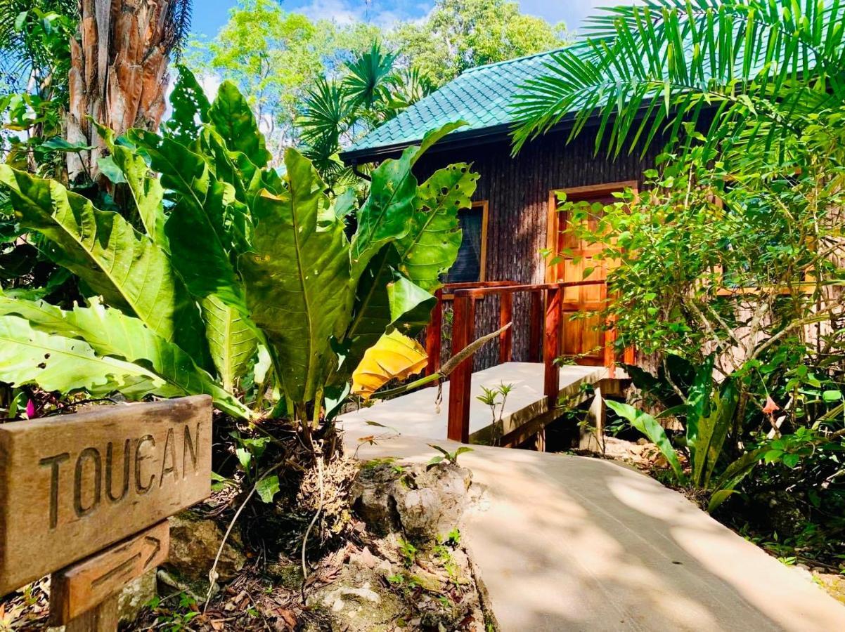 Mariposa Jungle Lodge San Ignacio Exterior photo