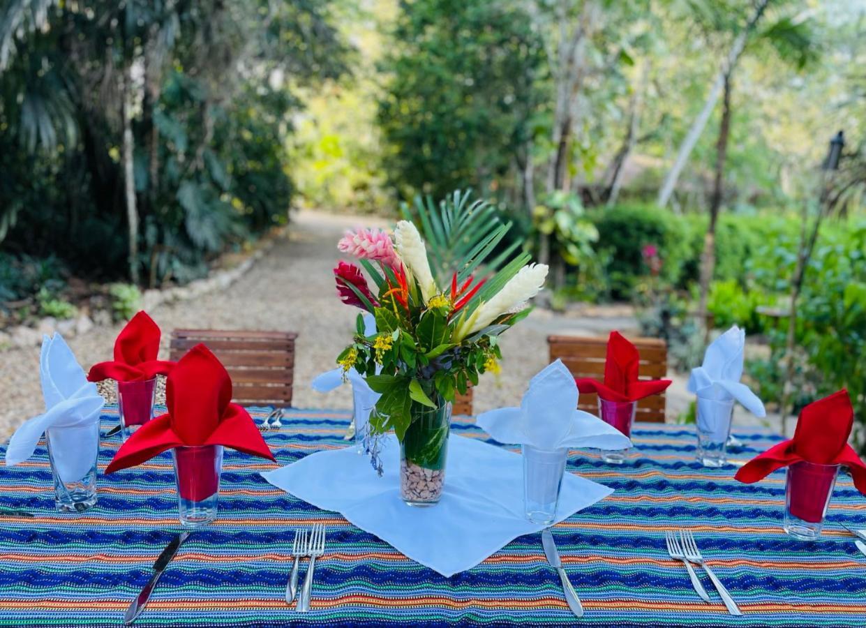 Mariposa Jungle Lodge San Ignacio Exterior photo