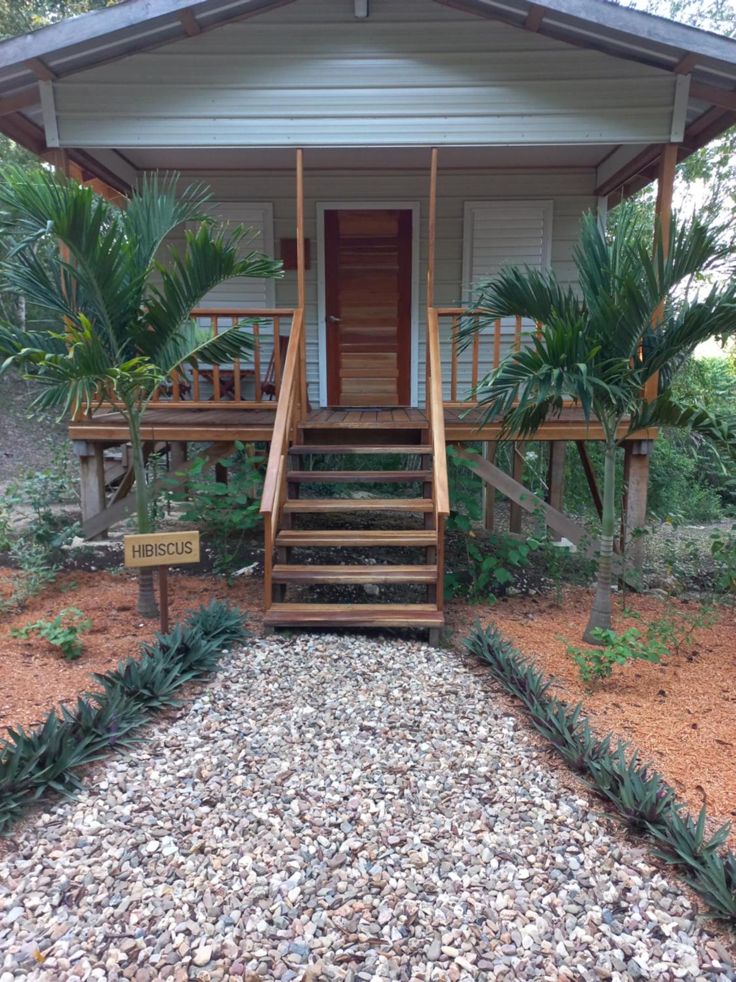 Mariposa Jungle Lodge San Ignacio Exterior photo